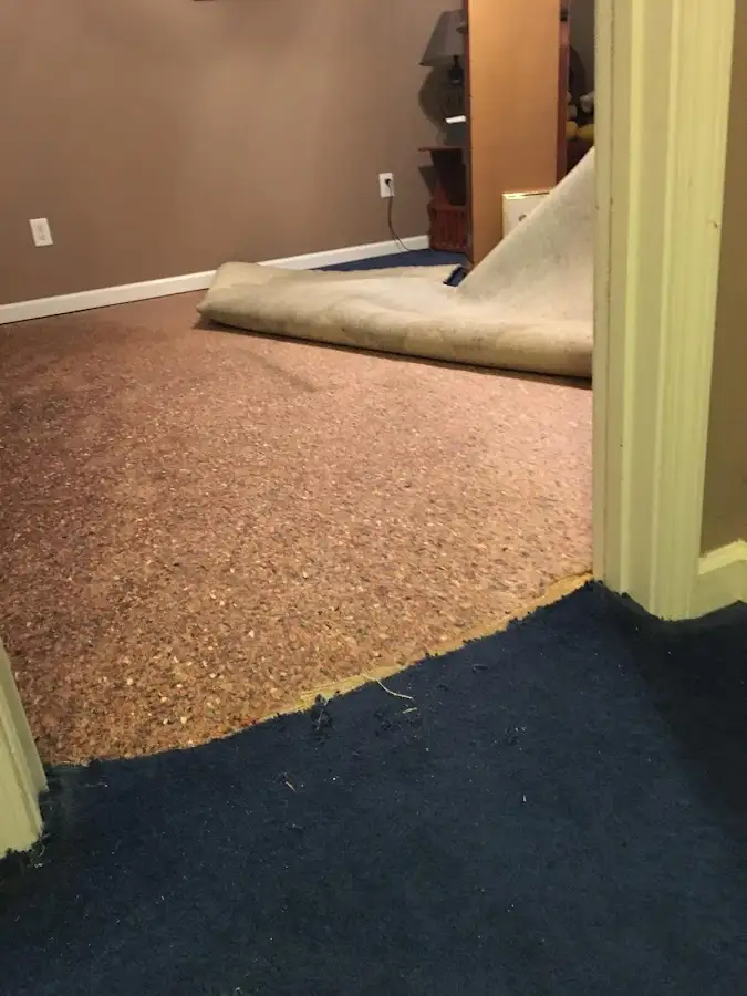 Carpet pad removal revealing water damage during Drying & Dehumidification in Tarrant